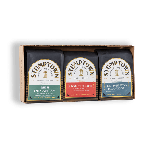 Passport Trio